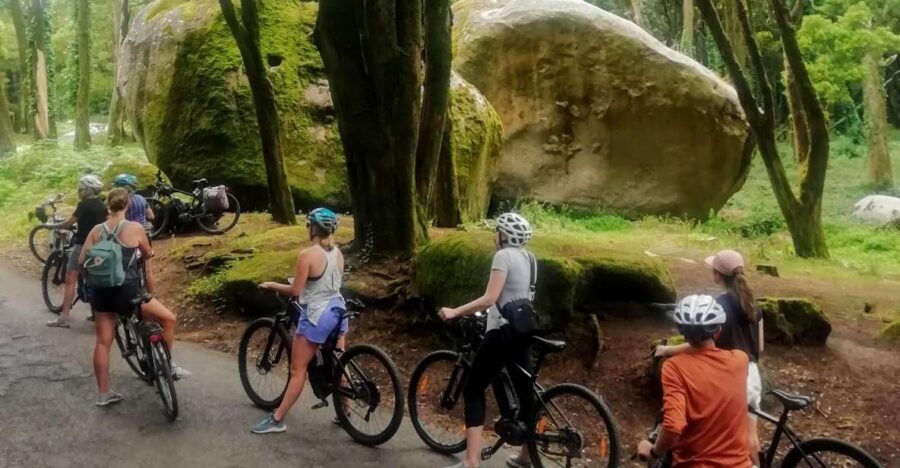 From Lisbon: Sintra and Cascais E-Bike Tour - Meeting near Santa Apolónia and the train hop that keeps things simple