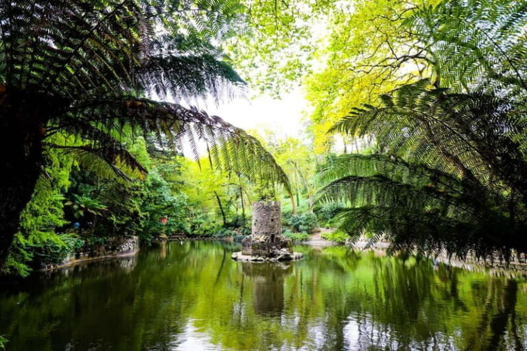 From Lisbon: Sintra's Historical and Natural Gems - Getting to Sintra from Lisbon: the ride time and pacing