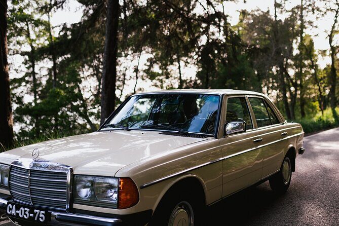 Pena Palace & Sintra Full Day -Private Tour in Classic Car - Price and logistics: is $110 good value?