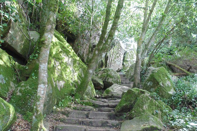 Private Day Tour from the Centre to the Highest Point in Sintra. - Pena Palace exterior, chapel time, and the Chalet of the Countess