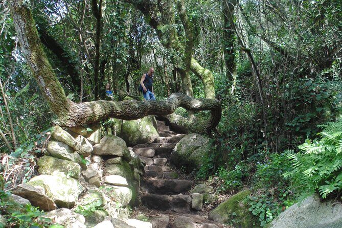 Private Day Tour from the Centre to the Highest Point in Sintra. - Price, pace, and who should choose this private tour