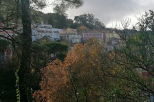 Private Tour in Sintra and Cascais - Sintra in 3 Hours: Planning for Pena Palace and Quinta da Regaleira
