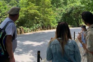 Private Tour Sintra Mountains and Coast Line - Sintra National Palace: best-view photos with a history primer