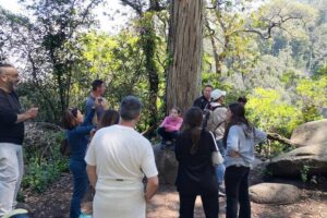 Sintra ALL PALACES - small groups (2-6pax) PRIVATE TOUR - Quinta da Regaleira: When Buying the Inside Ticket Makes the Day