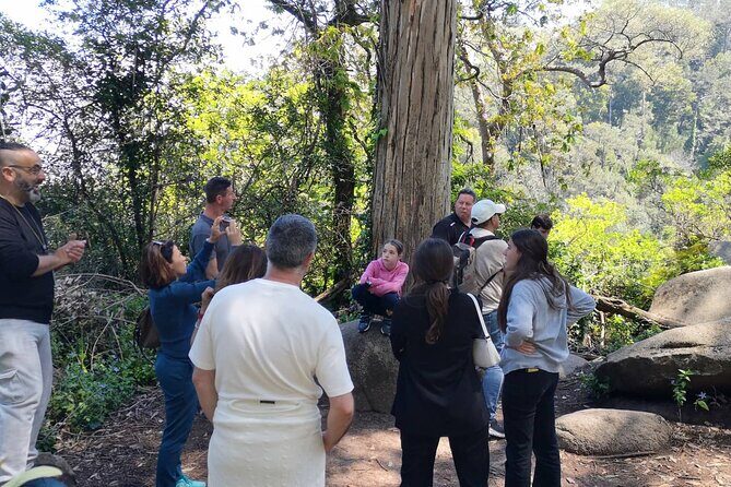 Sintra ALL PALACES - small groups (2-6pax) PRIVATE TOUR - Quinta da Regaleira: When Buying the Inside Ticket Makes the Day