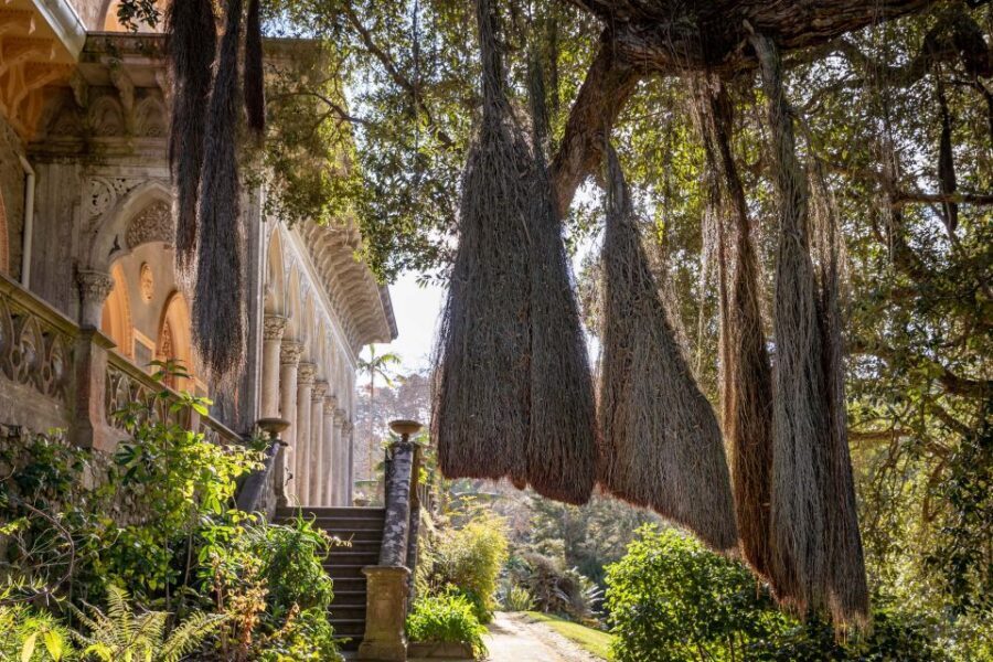 Sintra: Monserrate Palace & Park Ticket - The 30-hectare garden walk: where the day actually happens