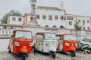 Tour Sintra Palaces & Mountain - Palacio da Vila (National Palace) and the Scenic Warm-Up Stops