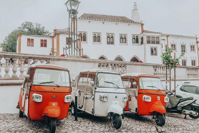 Tour Sintra Palaces & Mountain - Palacio da Vila (National Palace) and the Scenic Warm-Up Stops
