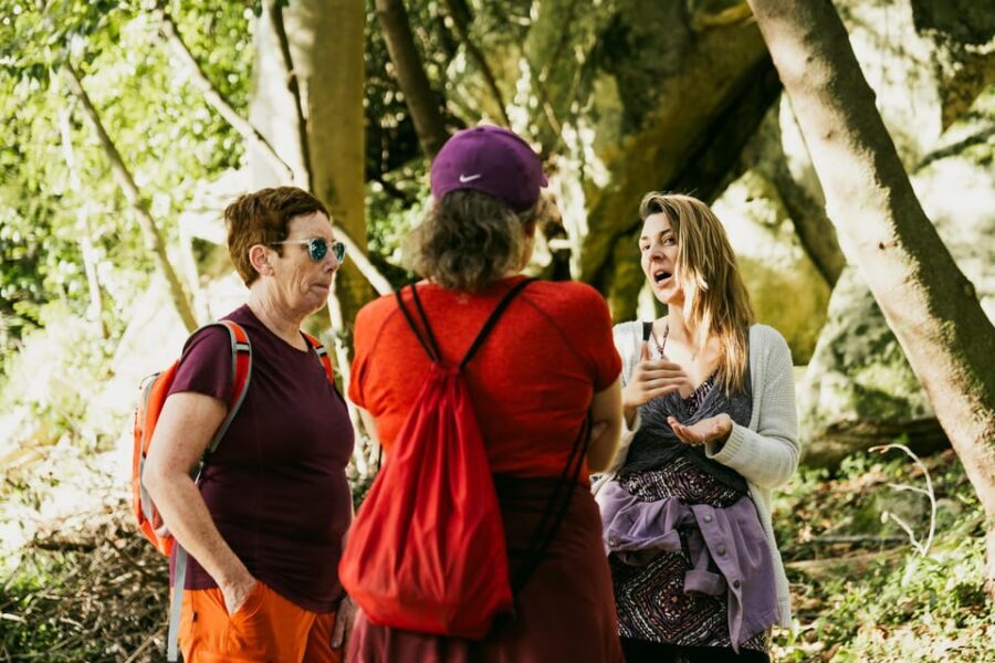 Walking tour:Pena Palace, Moorish Castle,Quinta da Regaleira - Private Sintra walking with a local guide: less waiting, more sense