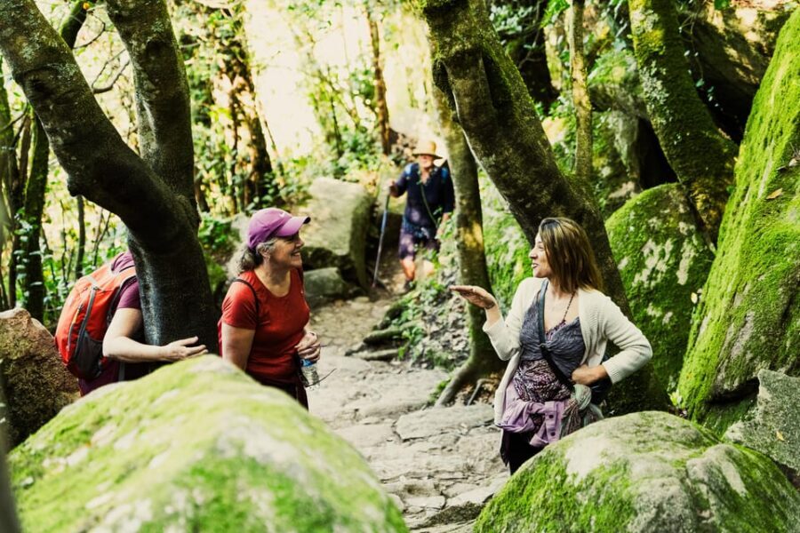 Walking tour:Pena Palace, Moorish Castle,Quinta da Regaleira - Vila Sassetti trail: the in-between walk that makes the day feel real